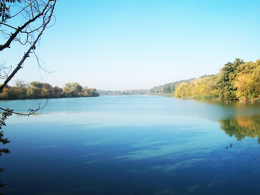 Четвертий ставок